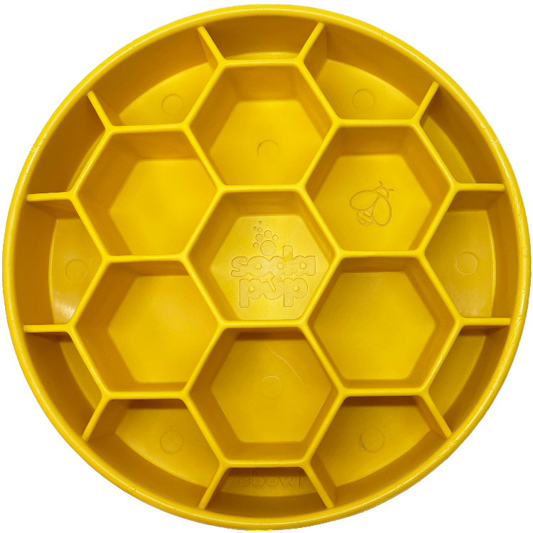 Slow Feeder Bowl | Honeycomb