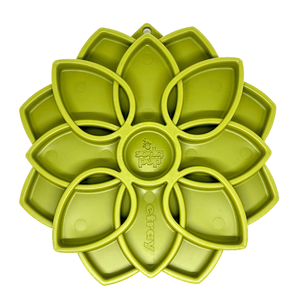 Snacking Tray | Mandala Green